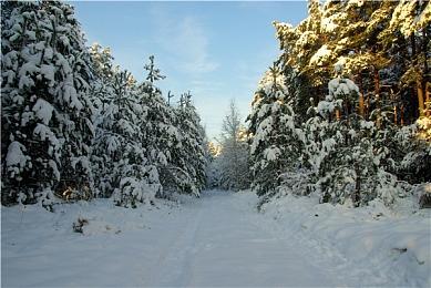 Steam新一周销量榜 《盗贼之海》第一、《只狼》第二